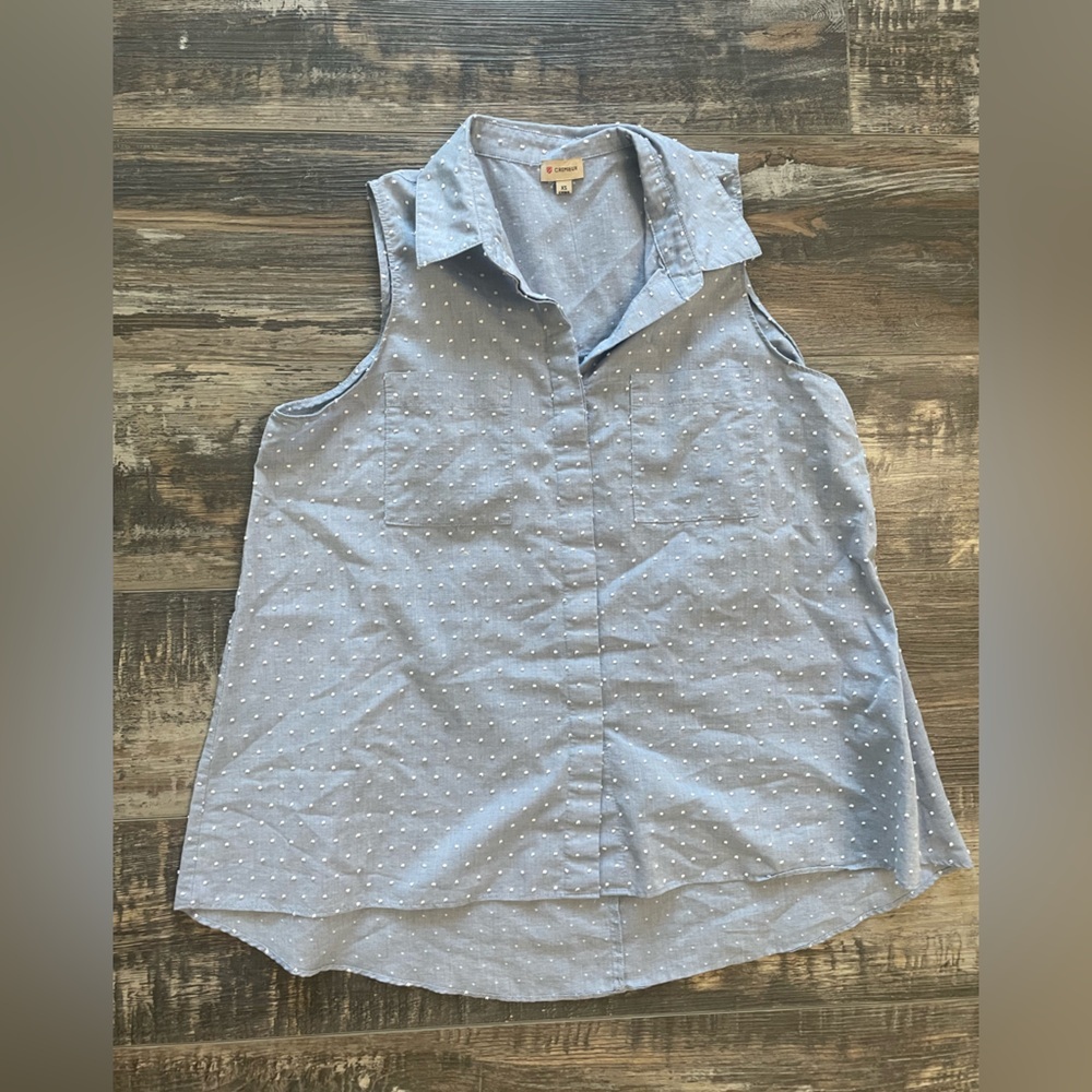 CREMIEUX Blue Polka Dot Sleeveless Top